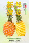 菠萝