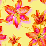 绚丽多彩花卉图案背景