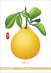 金黄饱满的新鲜柚子