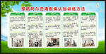 世界阿尔茨海默病日宣传栏