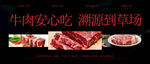 牛肉海报