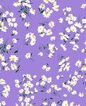 碎花