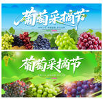 葡萄采摘节