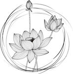 手绘禅意莲花线条插画 矢量图