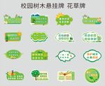 校园树木悬挂牌 花草牌