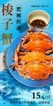 梭子蟹 