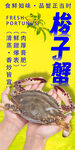 梭子蟹 