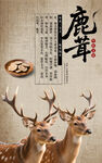 鹿茸