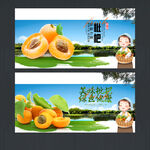 枇杷