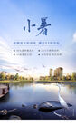 小暑时节湖畔美丽风光