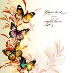 多彩蝴蝶装饰背景图