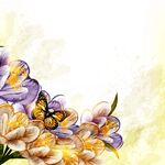 蝴蝶伴花的唯美花卉画面