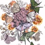花卉蝴蝶手绘插画图案