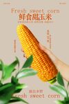 鲜食甜玉米美食小吃宣传海报