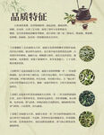 茶叶品质特征介绍
