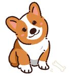 手绘泰迪