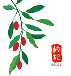 枸杞枝叶图案包装中药材海报