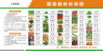 蔬菜采收标准图表