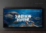 海鲜广告