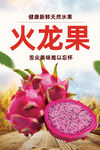 火龙果