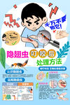 隐翅虫叮咬后处理方法