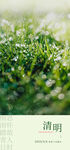 清明节海报