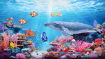 水族馆背景