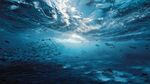 梦幻深海景象 群鱼共舞