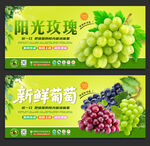 阳光玫瑰