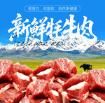 新鲜牦牛肉海报