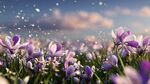 紫色番红花花海梦幻场景