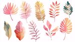 水彩风多彩植物叶片插画