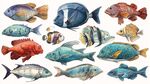 多彩海洋鱼类插画集合