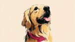 可爱金毛犬头像插画