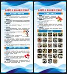 预防毒蘑菇中毒知识展架