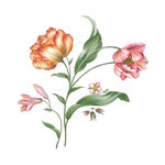 手绘花