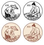 茶叶制作