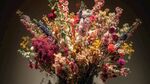 缤纷多彩干花花束大赏