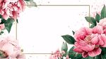 粉色牡丹花卉边框背景图