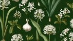 蒜花蒜叶插画植物图案