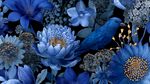 蓝色梦幻花鸟花卉图案