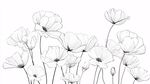 黑白线条绘就的优雅花朵