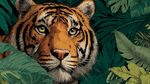丛林中的猛虎