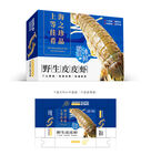 皮皮虾设计