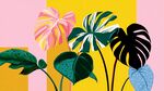 多彩热带植物插画
