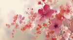 春日烂漫樱花绽放图