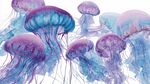 梦幻水母群绘