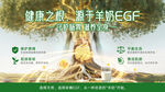 植物大树健康科技肠胃医疗海报
