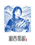 湘西葛根矢量图