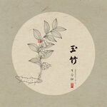 手绘玉竹